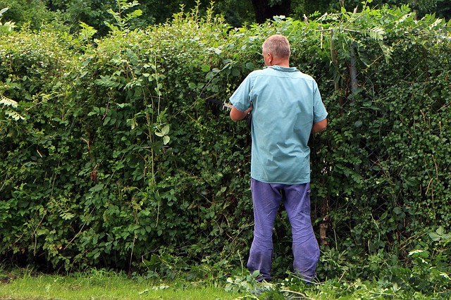 tuin winterklaar maken