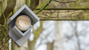 vogels voeren in de tuin