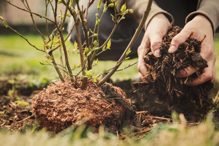 tuin zomerklaar maken