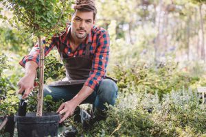 boom-in-tuin-planten