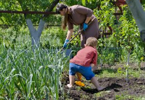 je tuin winterklaar maken