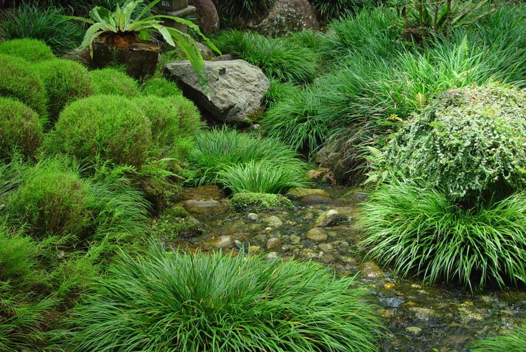 een-oase-van-rust-in-je-tuin